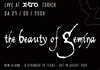 1. Flyer 27.09.2008 (48KB)